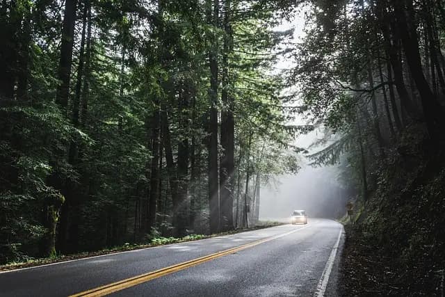 Les meilleures saisons pour partir en roadtrip en France