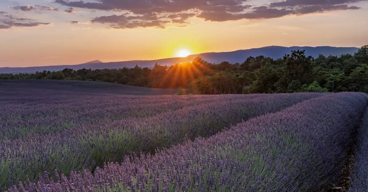Les plus belles routes à explorer en roadtrip en France