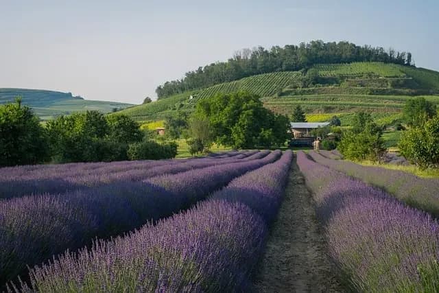 10 conseils pour un roadtrip en France inoubliable