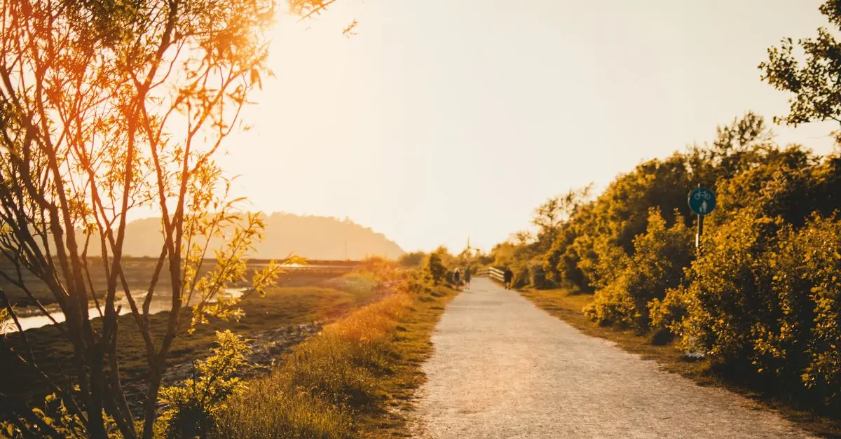Roadtrip dans le Sud de la France : Un voyage ensoleillé