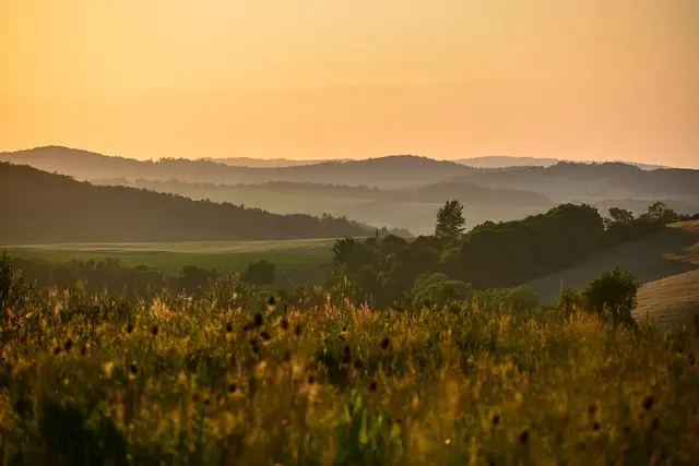 Les incontournables de la route des vins en France