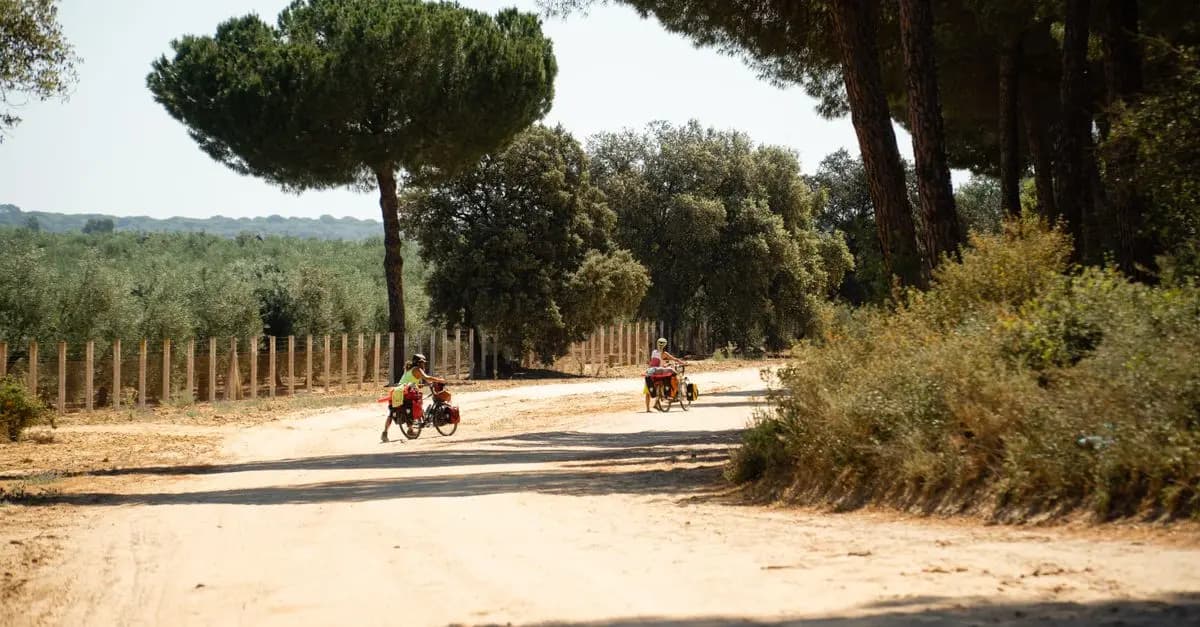 Roadtrip vélo : Explorer la France autrement