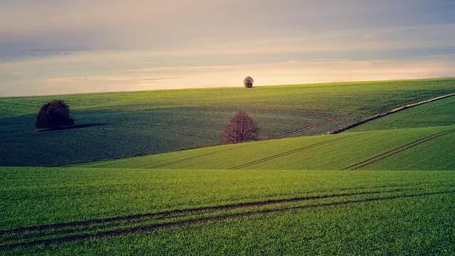Les meilleures destinations pour un roadtrip à travers la France