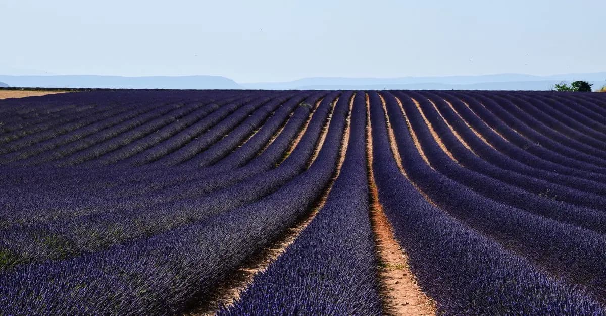 Top 10 des routes à explorer pour un roadtrip en France