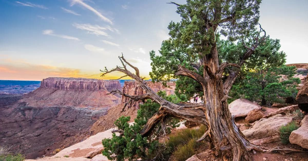 Les plus beaux parcs nationaux à visiter en roadtrip