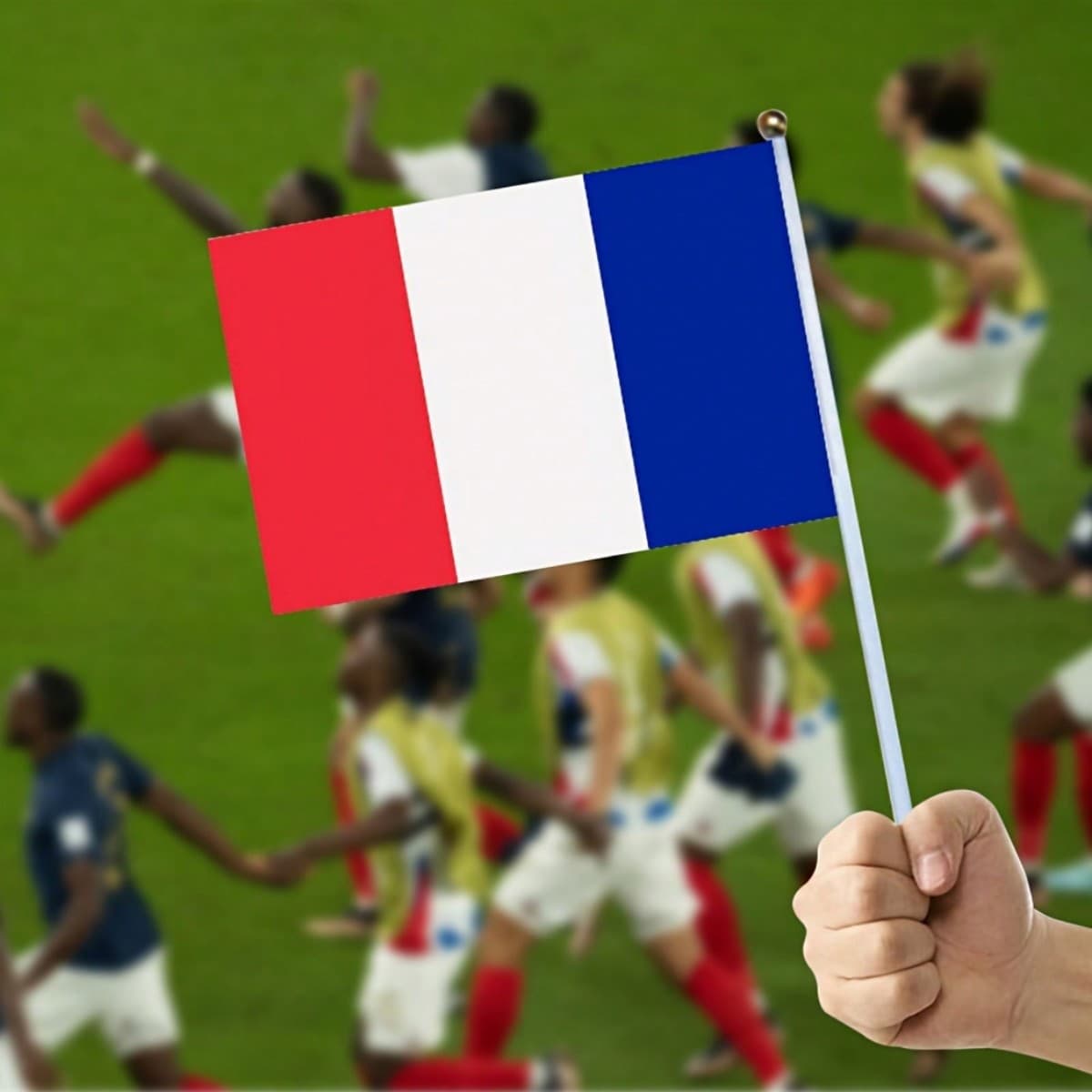 10 pièces Drapeaux de bâtonnets de petite taille français de la France pour la fête, la classe, le jardin, les festivals, les clubs, les
