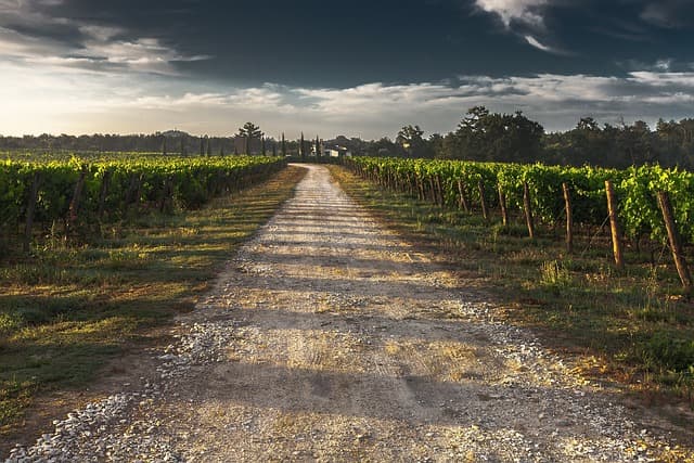 Les incontournables pour un roadtrip gastronomique en France