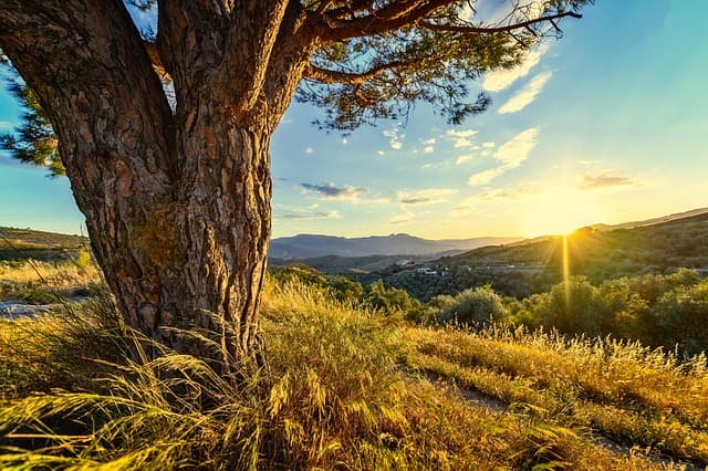 Top 5 des itinéraires de roadtrip en France