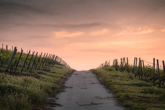Les meilleures destinations de roadtrip à découvrir en France