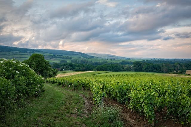 10 Roadtrips en France à découvrir absolument