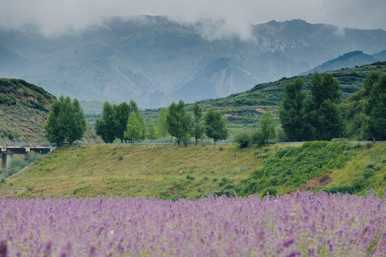 Les plus belles routes à emprunter pour un roadtrip inoubliable